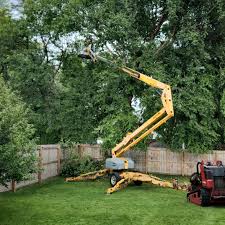 Memphis, FL Tree Removal and Landscaping Services Company